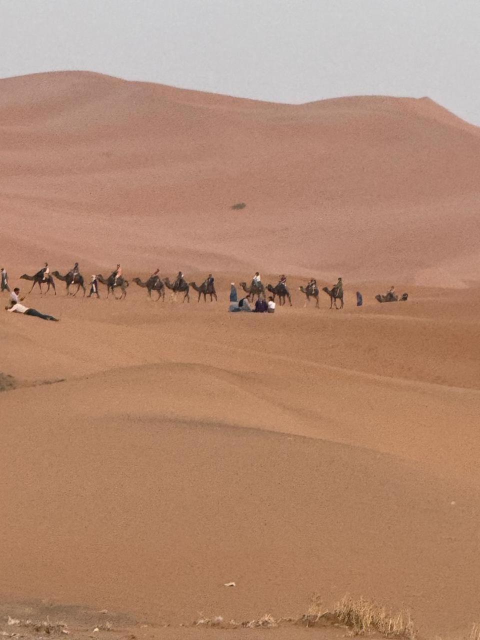 Bivouac La Fibule Des Dunes メルズーガ エクステリア 写真
