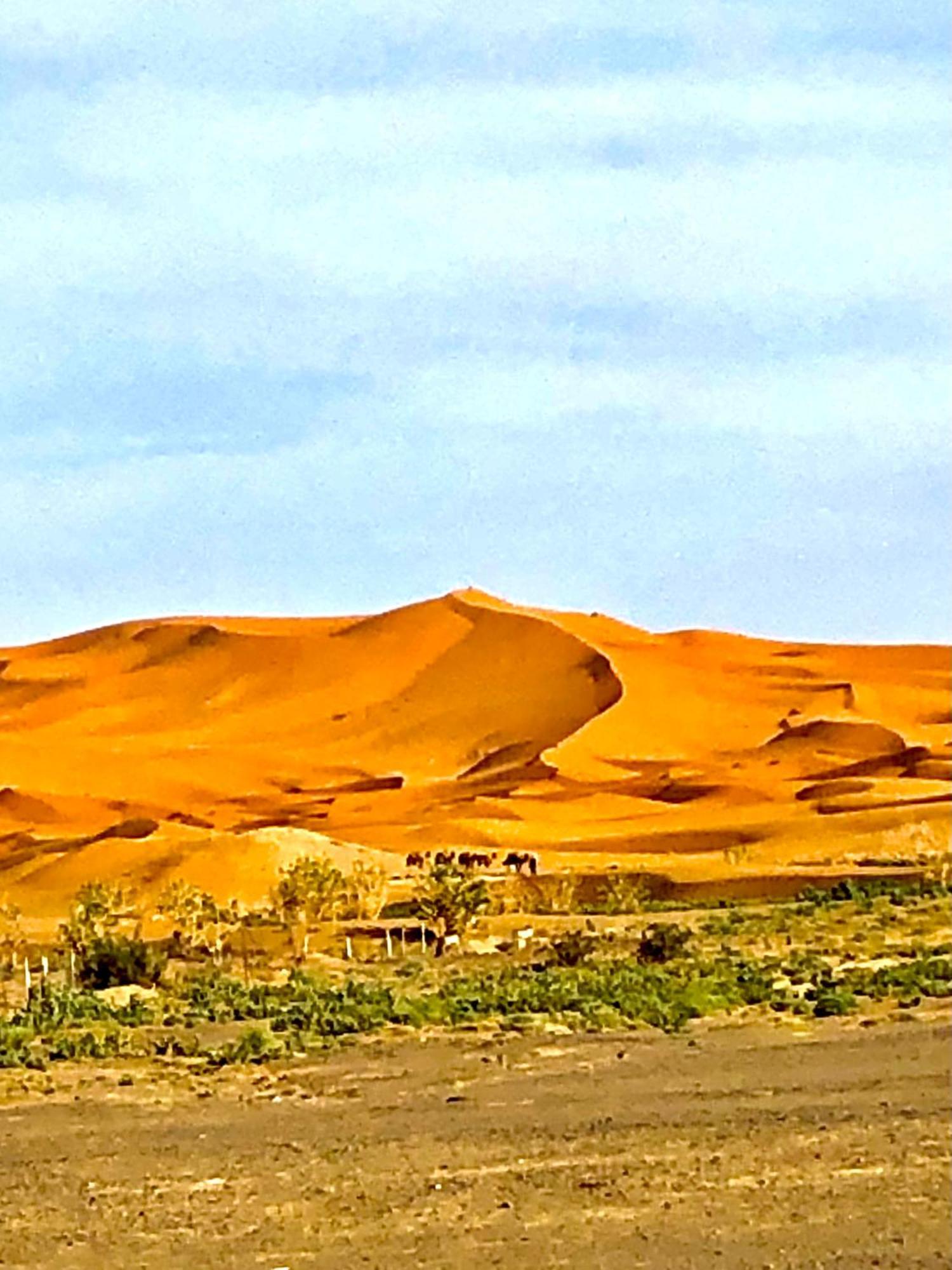 Bivouac La Fibule Des Dunes メルズーガ エクステリア 写真